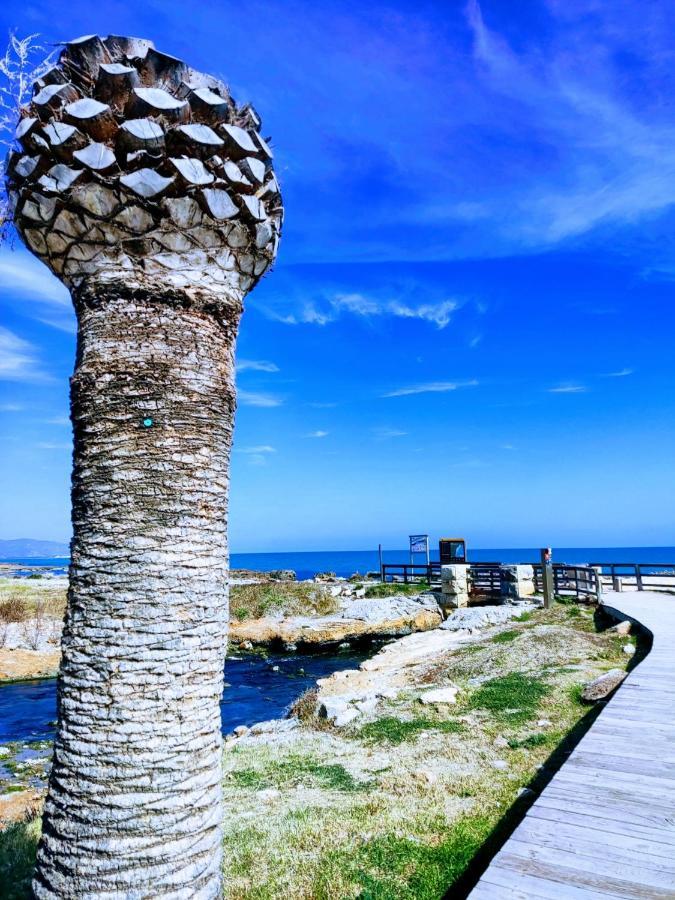 Apartamento Acogedor En Cabanes, Torre La Sal, Costamar I Marina D'Or Venta de San Antonio-Estacion Dış mekan fotoğraf